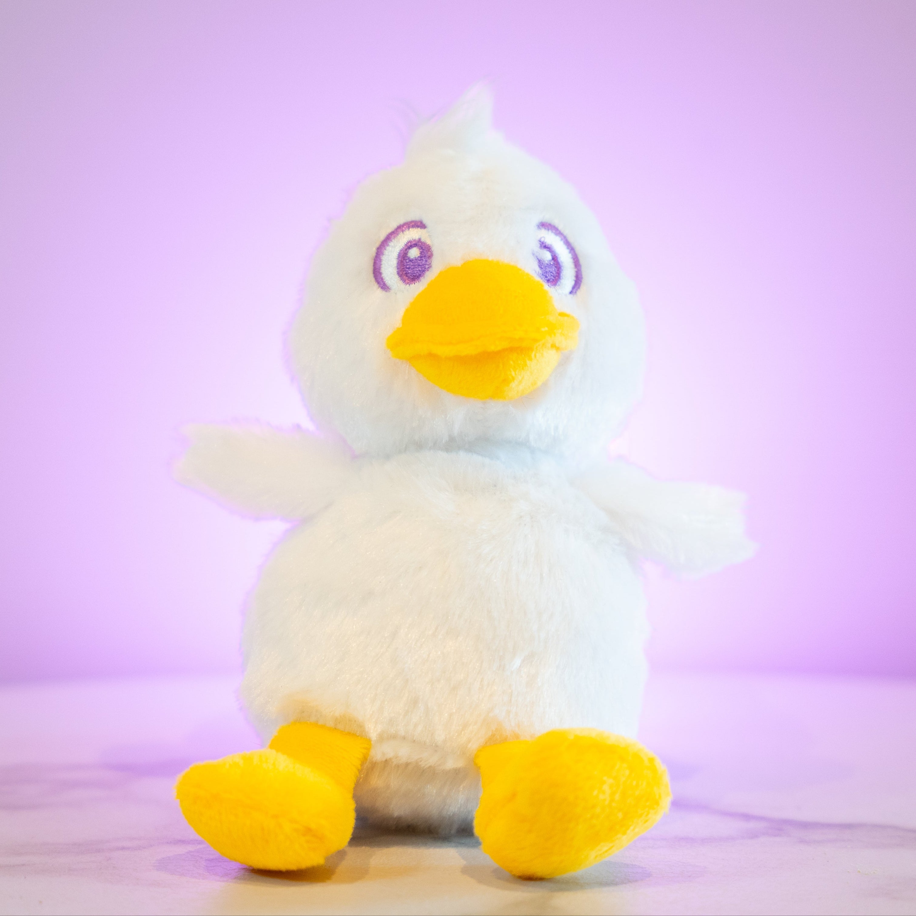MYSTERY DUCK PLUSH